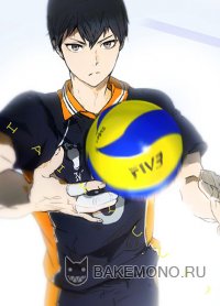 Волейбол!! OVA